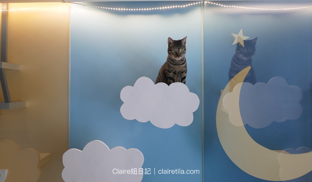 20251024-a81y9 20251024-a81y9