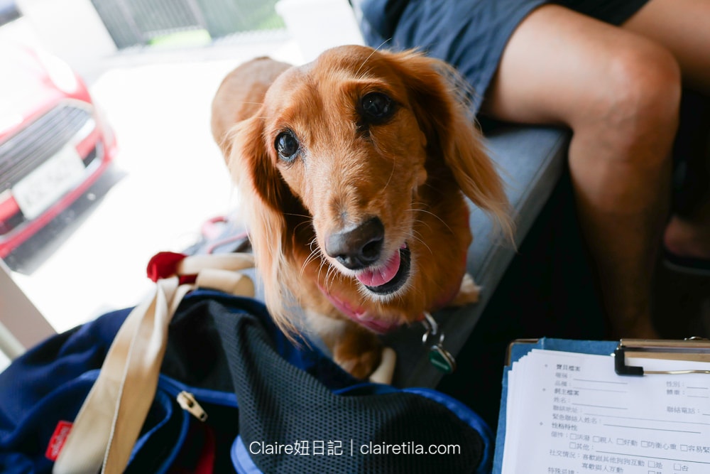 20251024-cl9y3 20251024-cl9y3