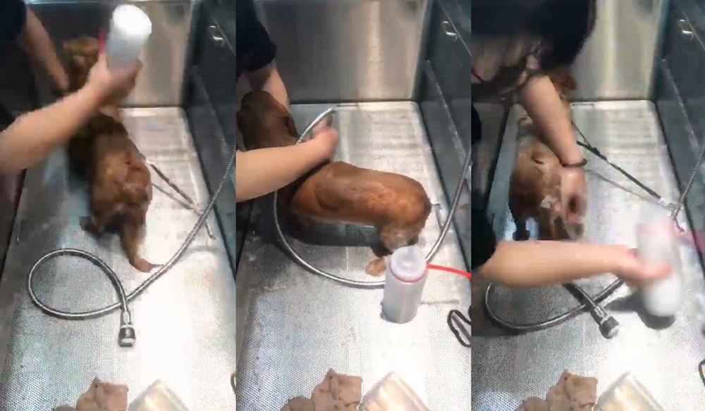 20251024-cy95q 20251024-cy95q