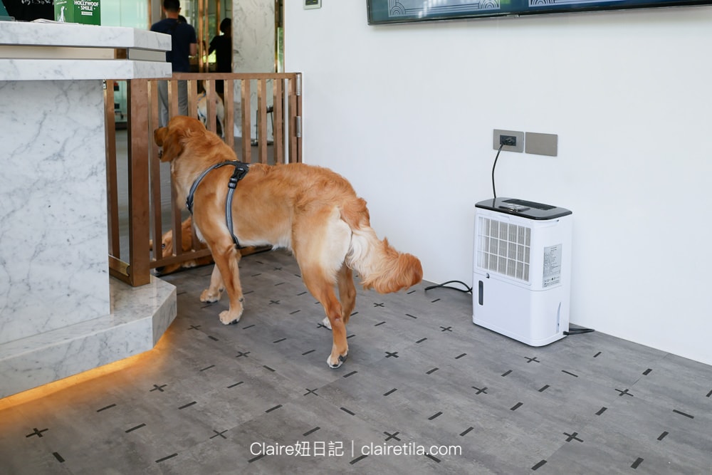 20251024-dqbhv 20251024-dqbhv