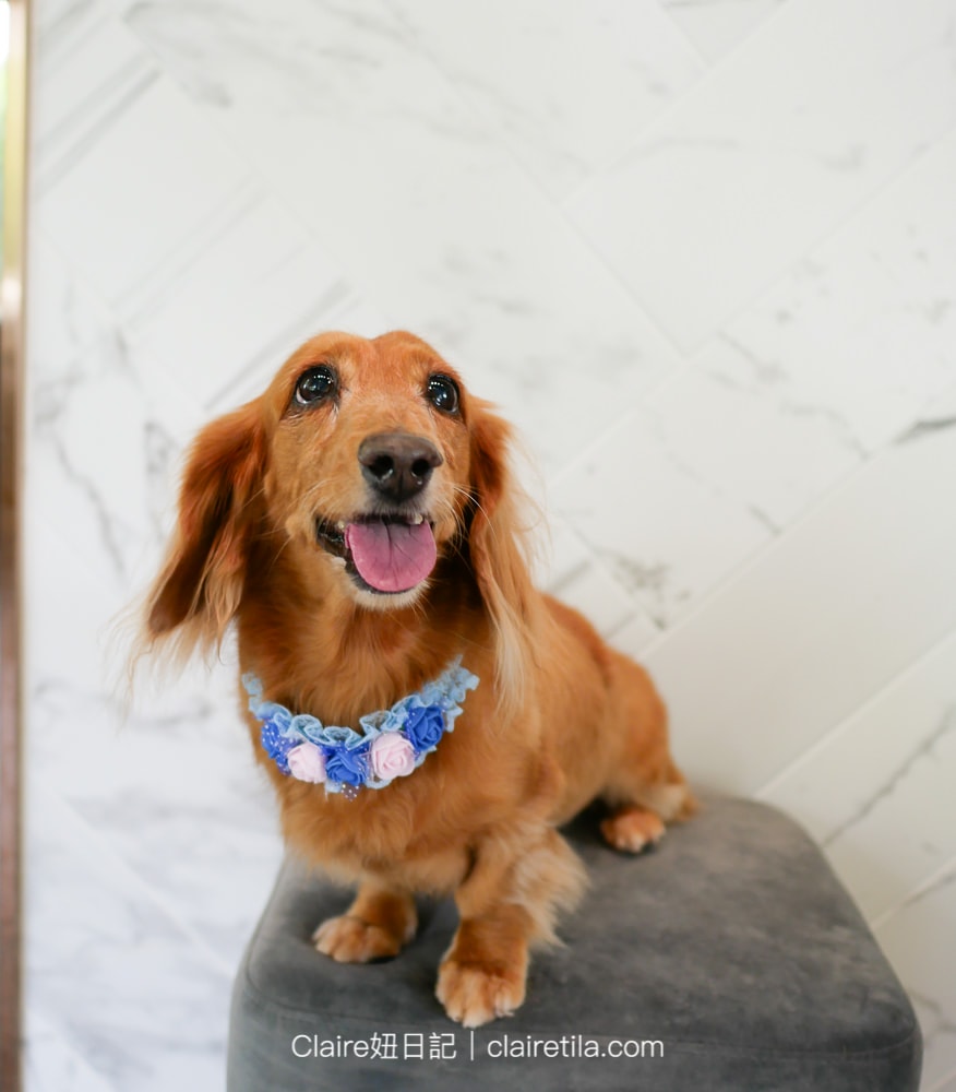 20251024-gztex 20251024-gztex