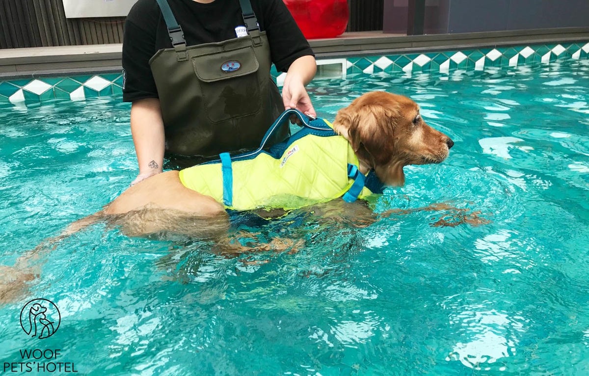 20251024-kxt2s 20251024-kxt2s