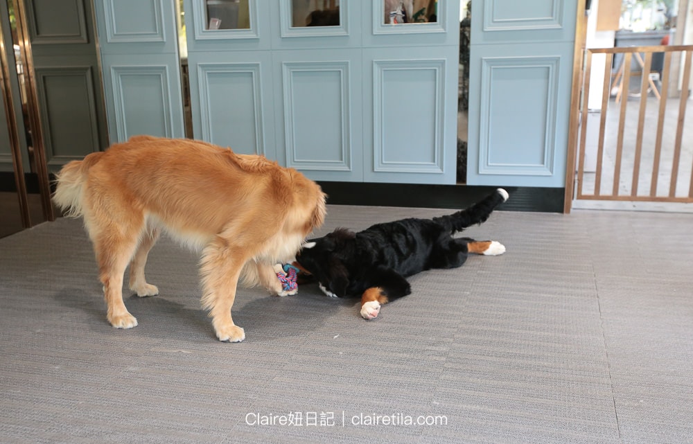 20251024-nakp7 20251024-nakp7