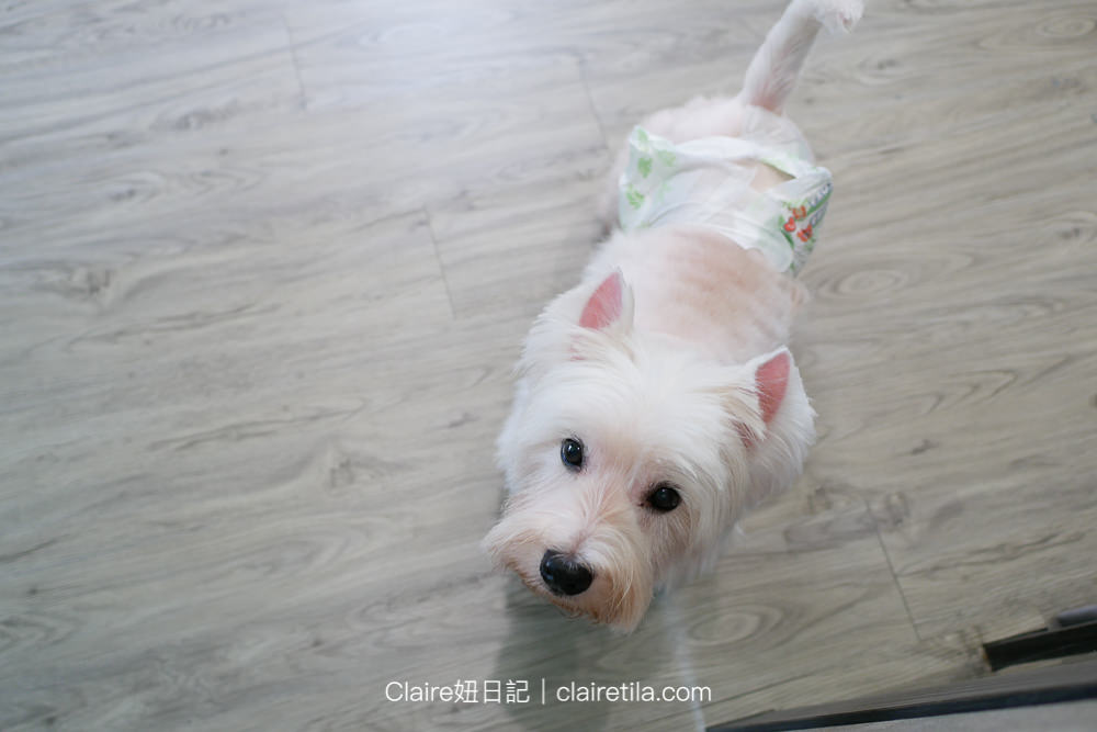 20251024-nfaun 20251024-nfaun