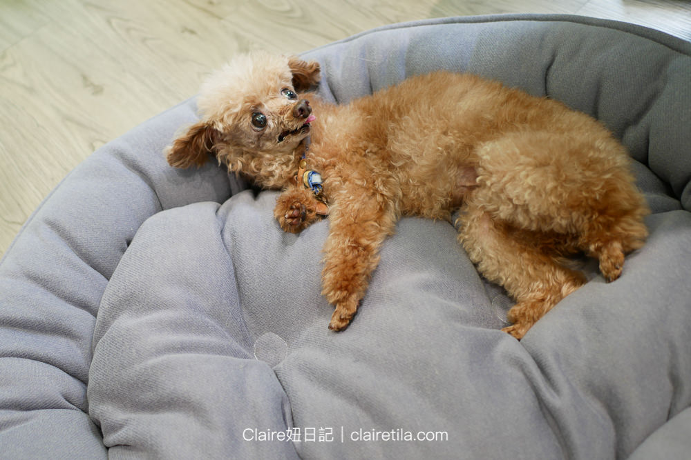 20251024-qpcdj 20251024-qpcdj