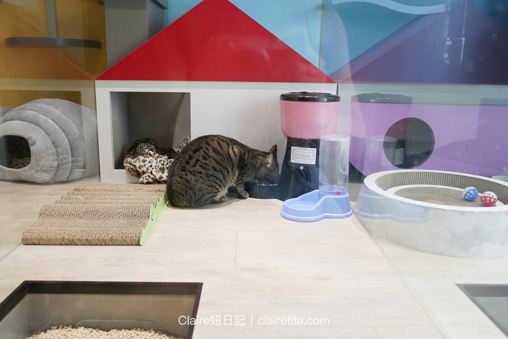 20251024-qy688 20251024-qy688