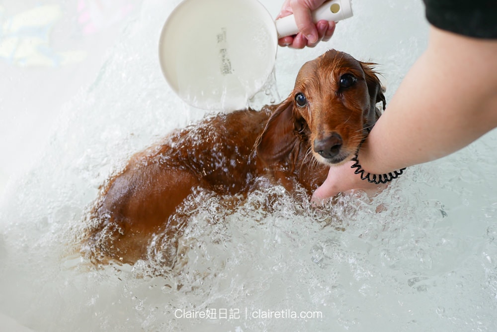 20251024-rtqxt 20251024-rtqxt