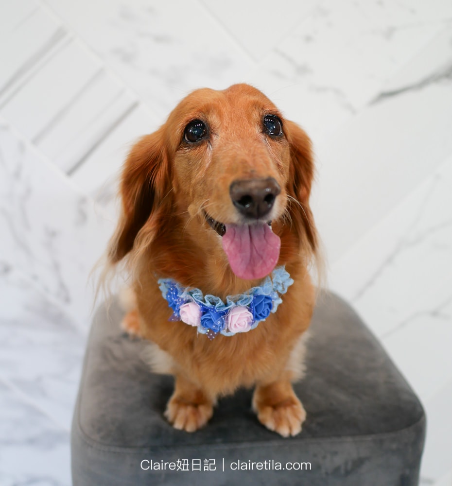 20251024-rvng6 20251024-rvng6