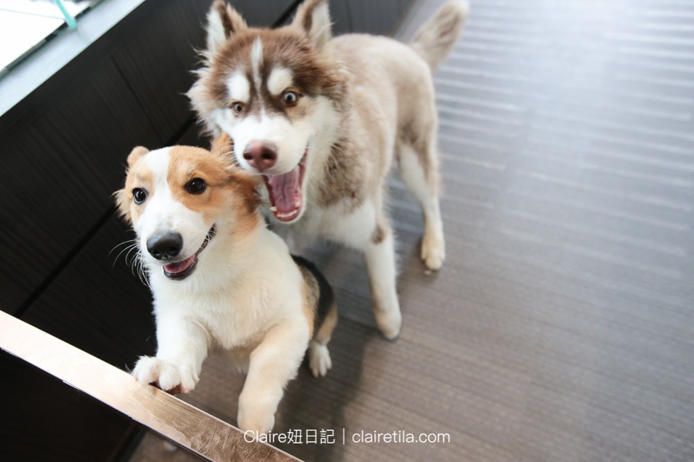 20251024-wja3n 20251024-wja3n