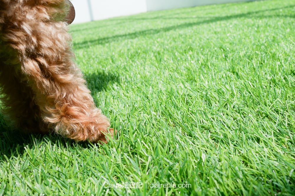 20251024-wwtf9 20251024-wwtf9