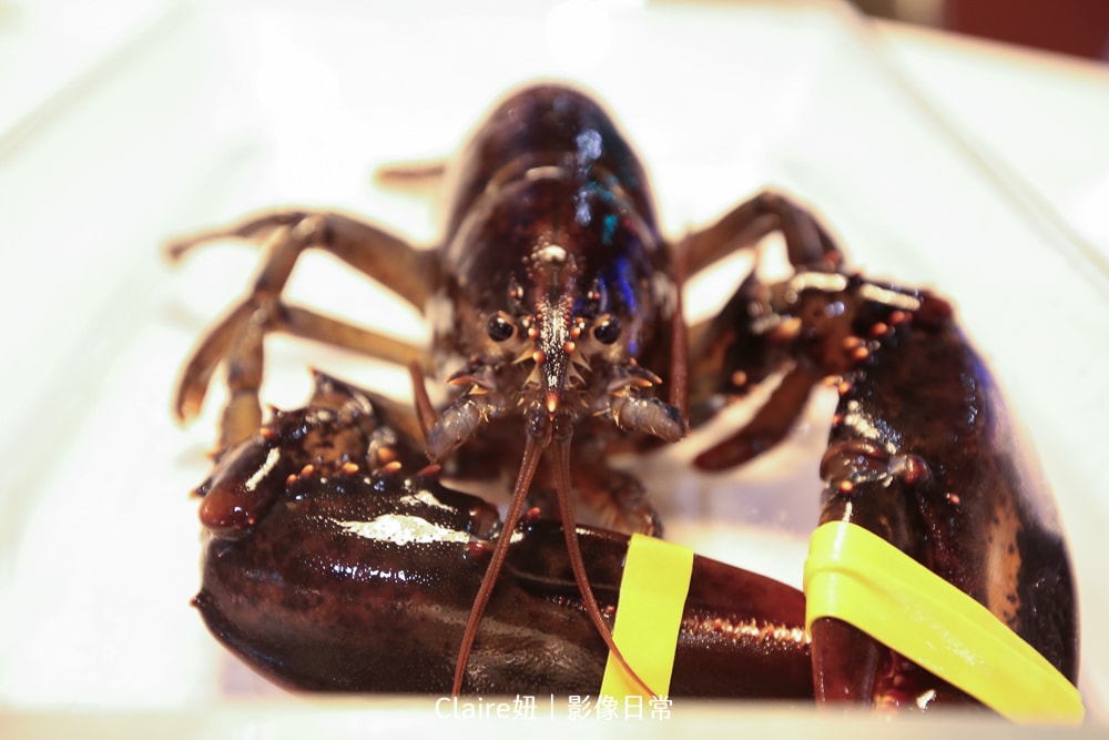 20251024-s1z3n 20251024-s1z3n