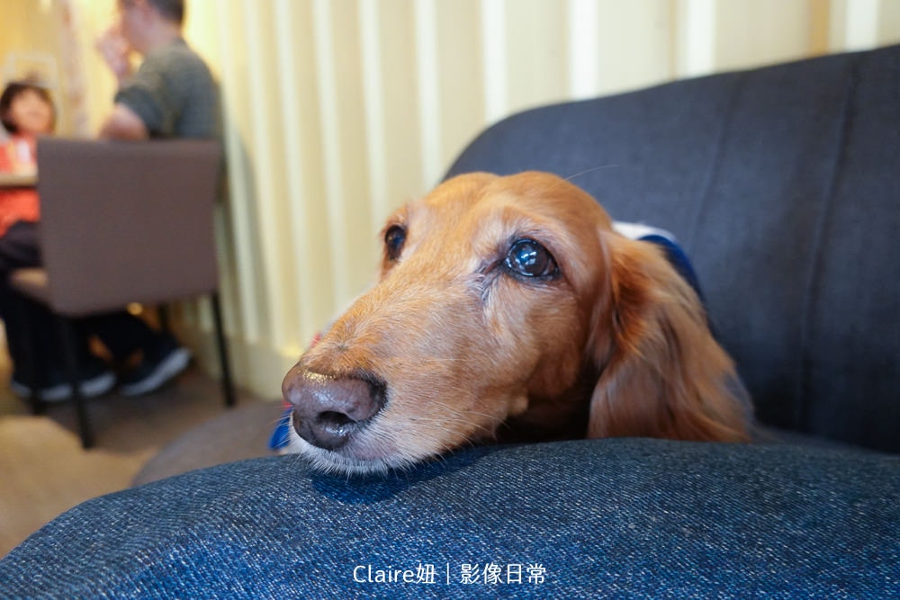 20251024-t3pji 20251024-t3pji