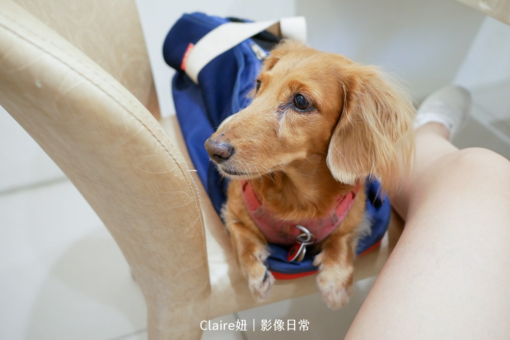 20251024-dkngr 20251024-dkngr