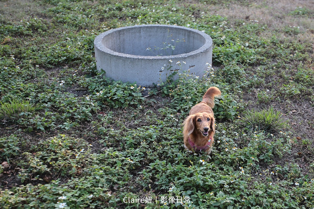 20251024-e6e0m 20251024-e6e0m