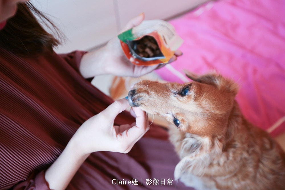 20251024-is83c 20251024-is83c