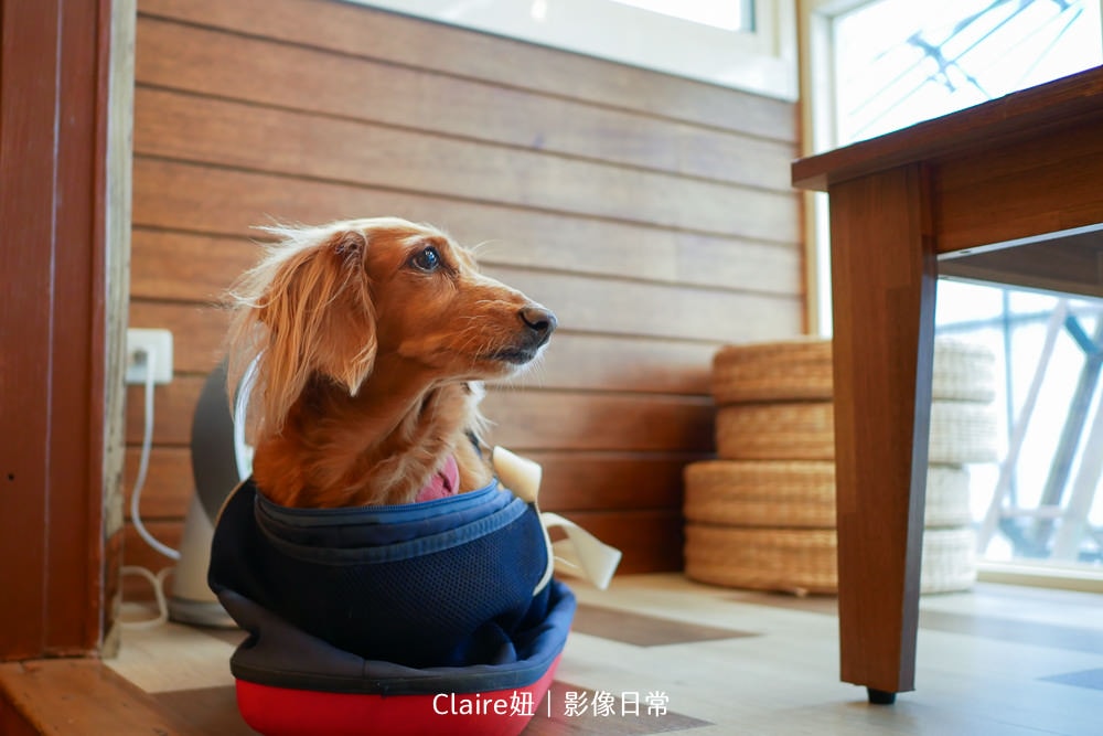 20251024-kwaru 20251024-kwaru