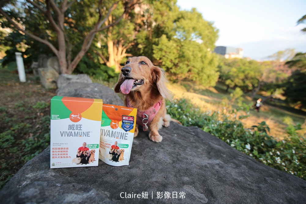 20251024-qbwxv 20251024-qbwxv