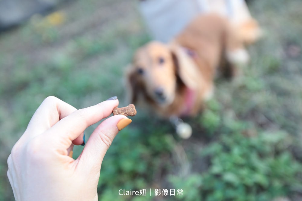 20251024-wyxiy 20251024-wyxiy