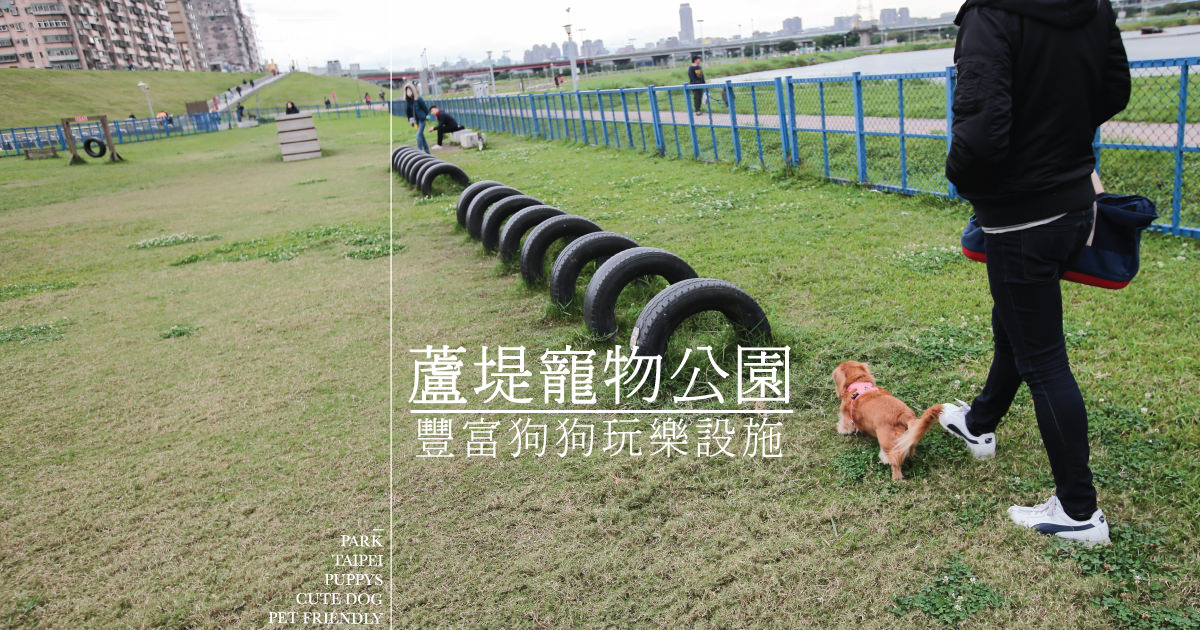 即時熱門文章：新北市蘆洲寵物公園》蘆堤寵物公園!帶毛小孩去狗公園跑跑♥♥