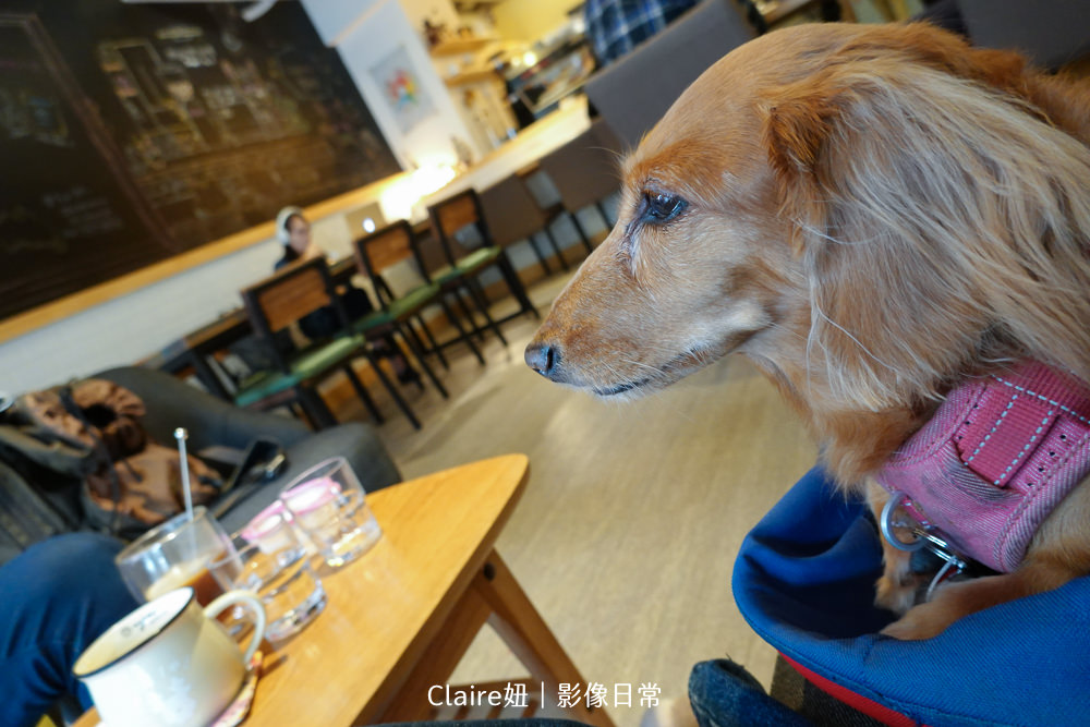 台北不限時咖啡廳｜西門町街口6號珈啡.寵物友善~限量提拉米蘇♥♥