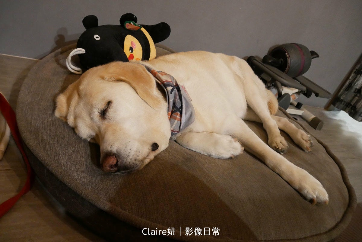 20251024-fdmlo 20251024-fdmlo