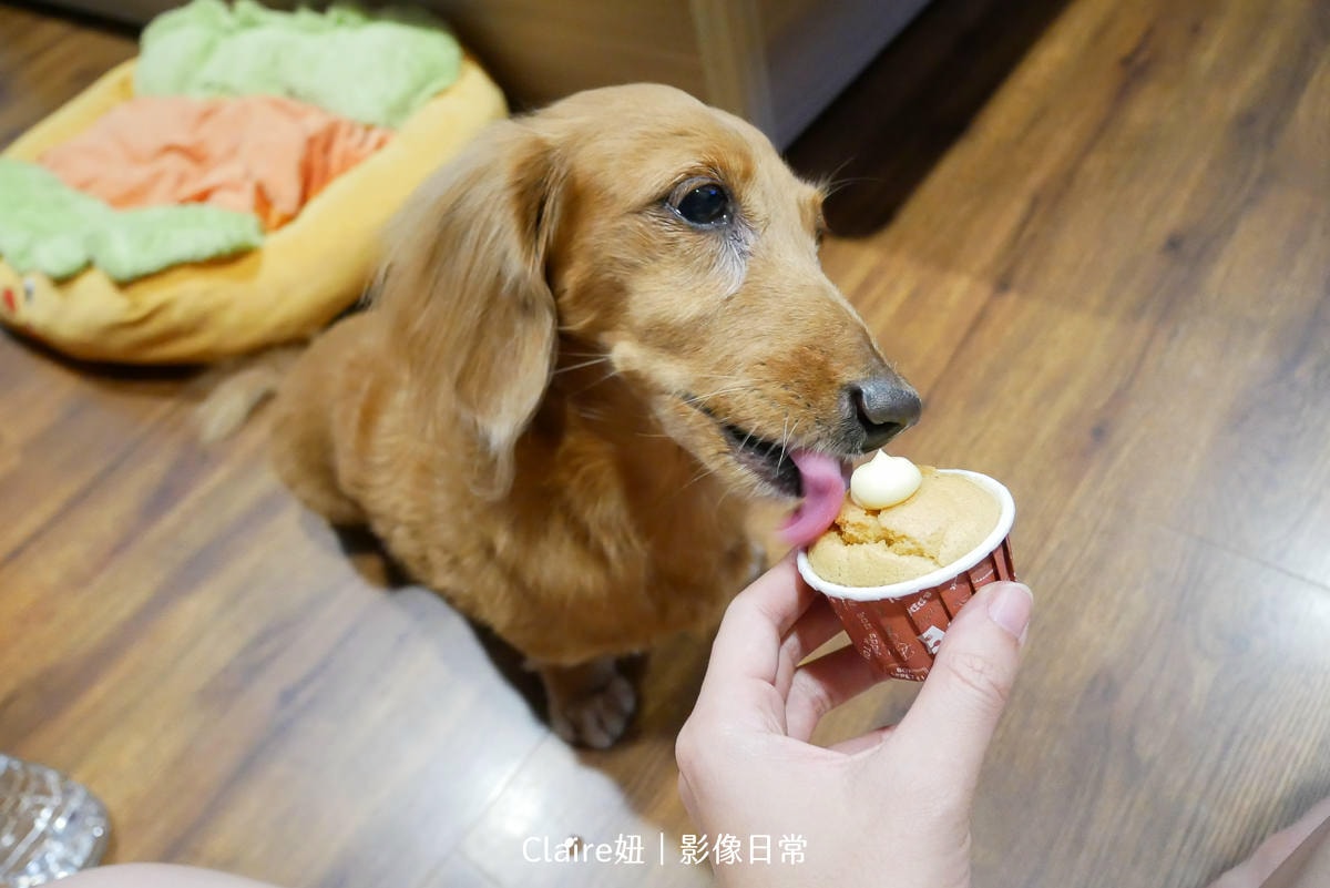 20251024-qqk46 20251024-qqk46