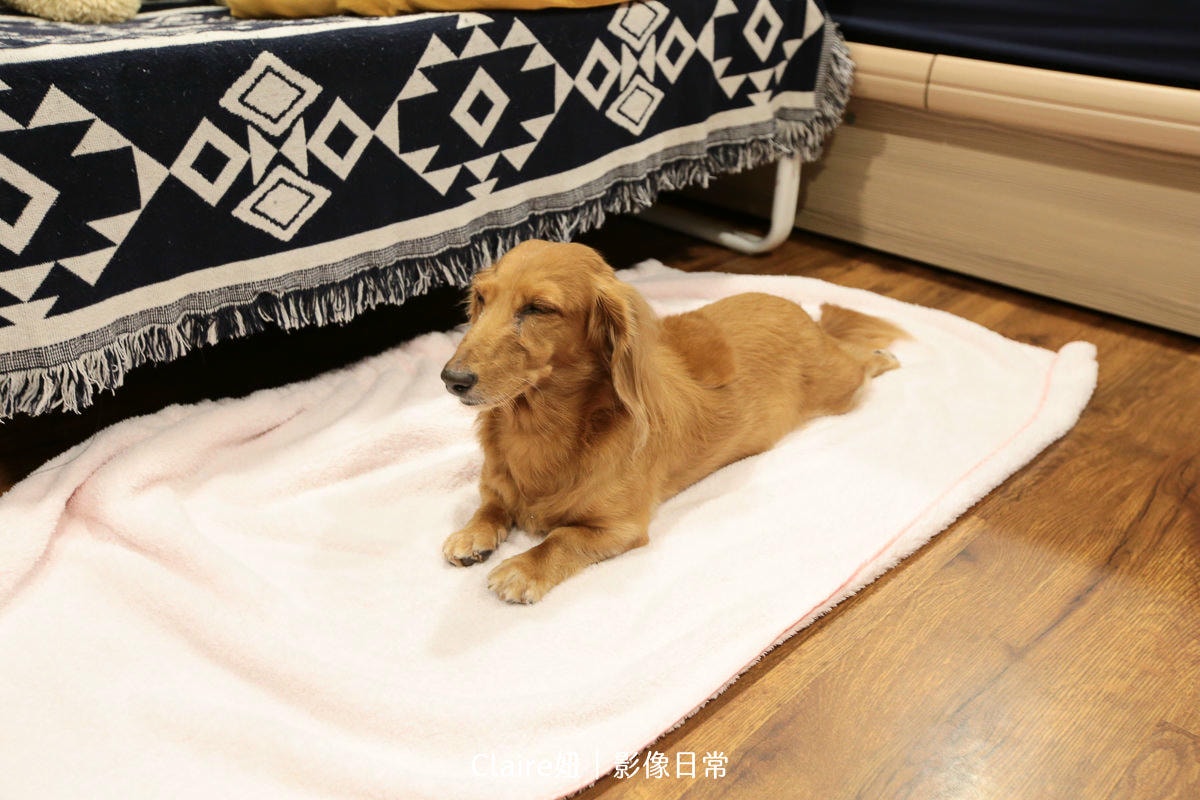 20251024-yflm1 20251024-yflm1