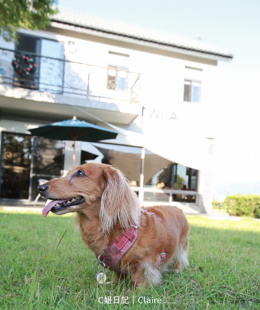 20251024-ppowg 20251024-ppowg