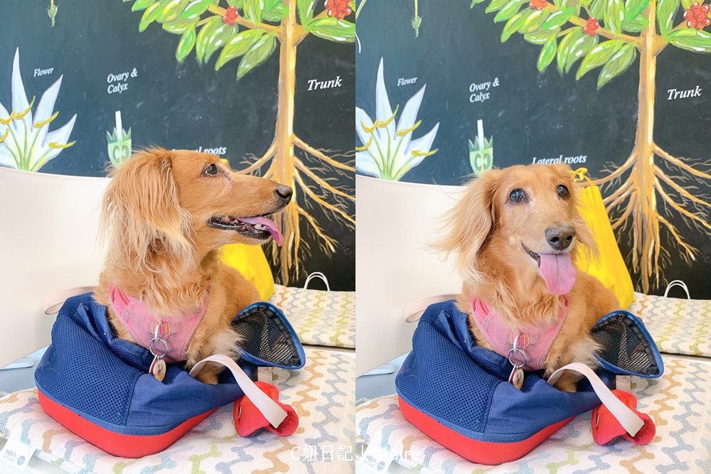 20251024-qrt8h 20251024-qrt8h