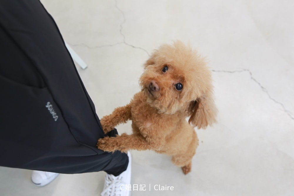 20251024-zjdz4 20251024-zjdz4