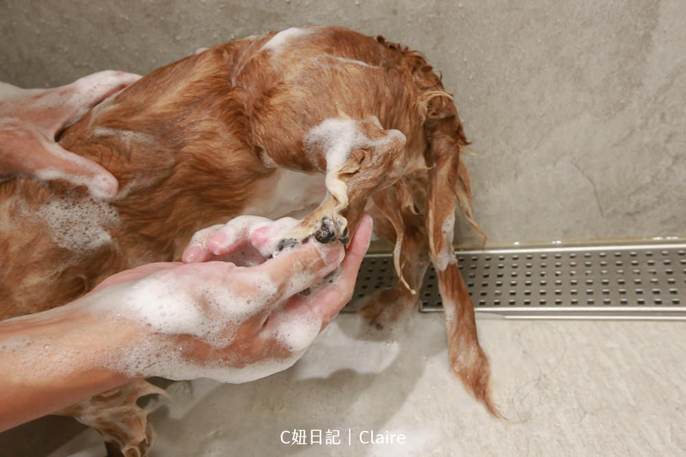 20251024-4p6fi 20251024-4p6fi