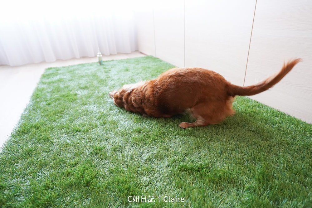 20251024-dsdvr 20251024-dsdvr