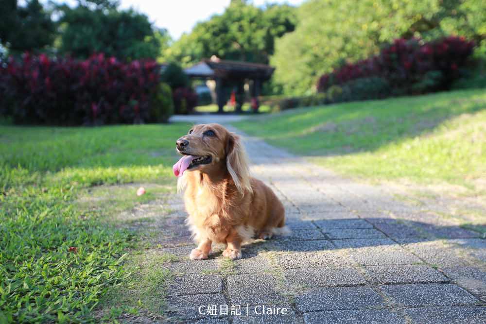 20251024-fh90s 20251024-fh90s