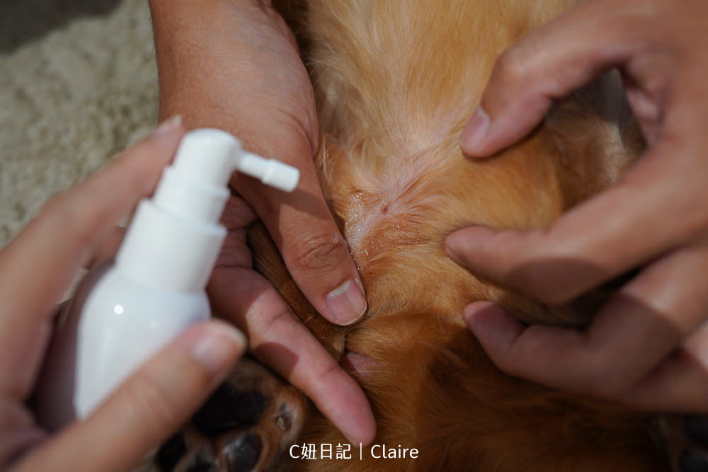 20251024-i8uw6 20251024-i8uw6