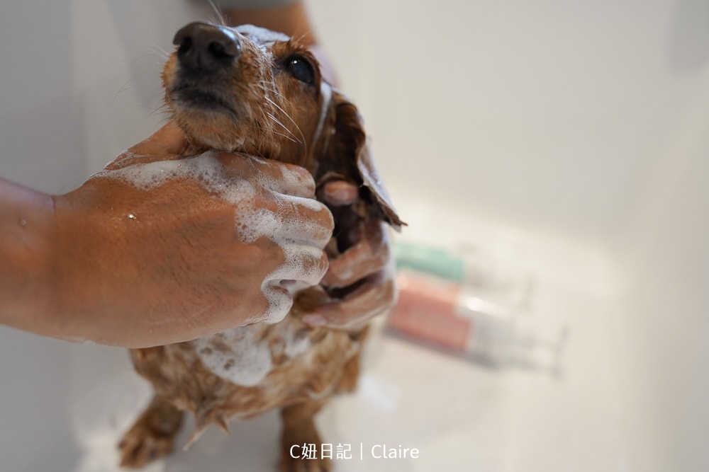 20251024-ifh2c 20251024-ifh2c