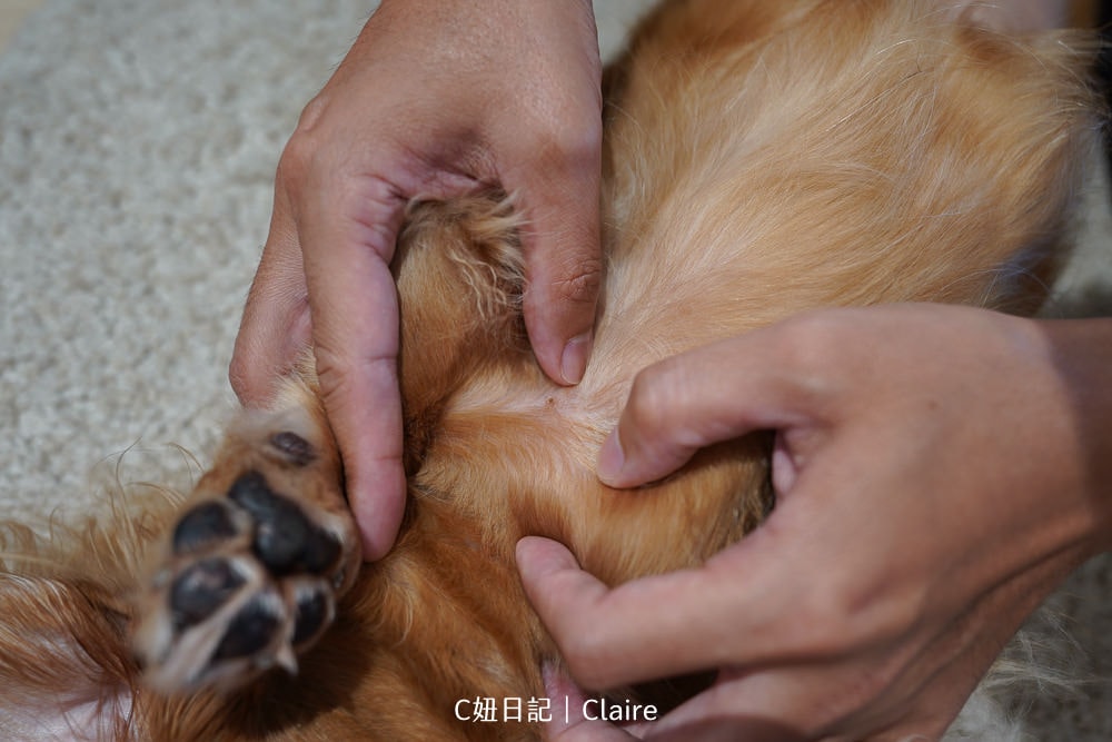 20251024-lofw6 20251024-lofw6