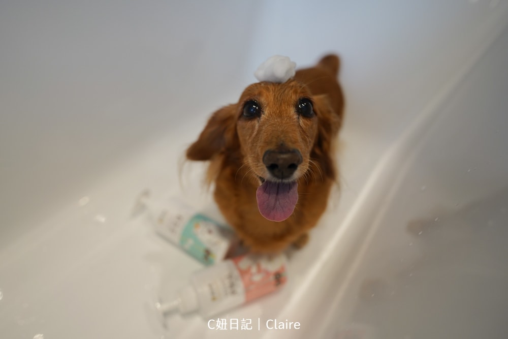 20251024-mwqwq 20251024-mwqwq