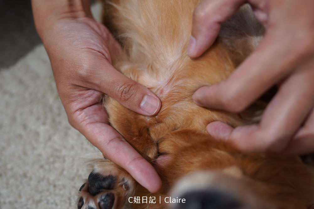 20251024-n4orw 20251024-n4orw