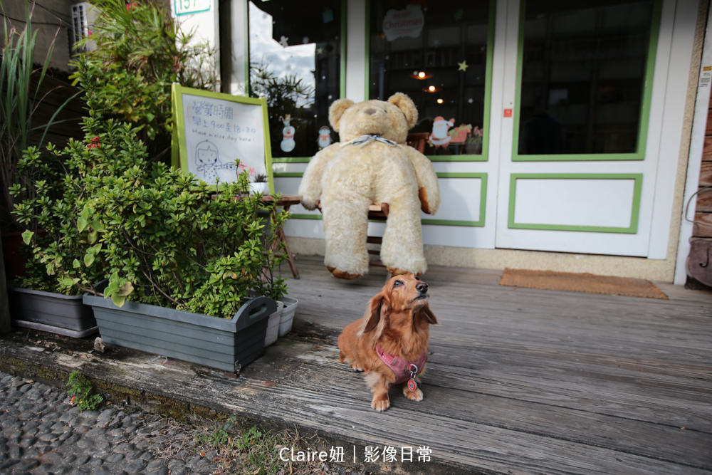 明德寵物友善餐廳｜綠野仙蹤Wonderland cafe.棉花糖愛心鬆餅麻糬♥♥