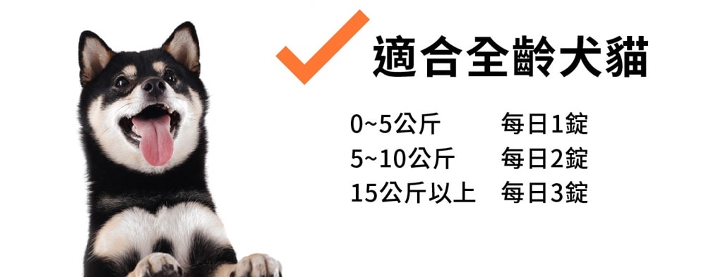 20251024-0ns0s 20251024-0ns0s