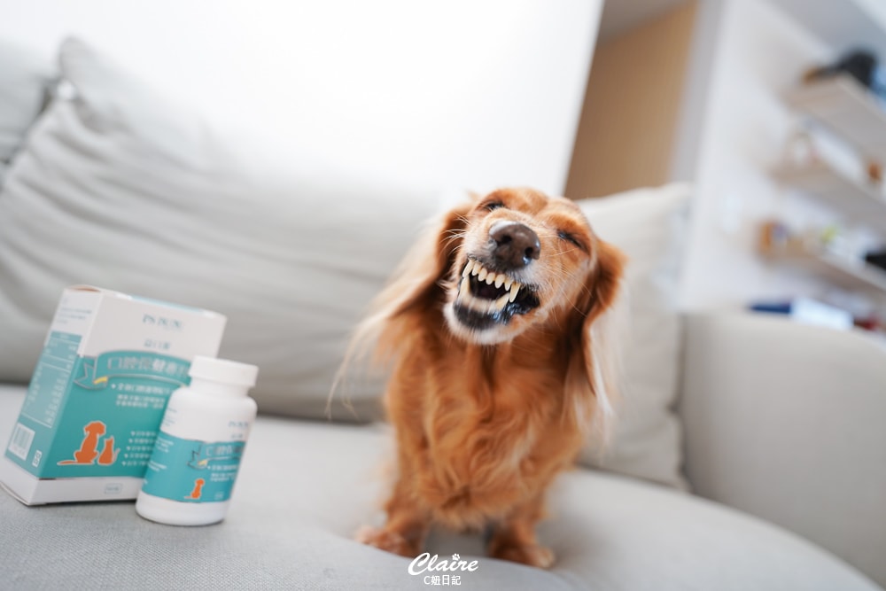 20251024-194ok 20251024-194ok