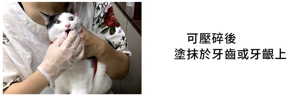 20251024-fkw0f 20251024-fkw0f