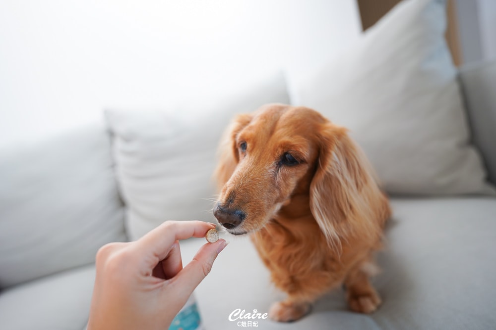 20251024-sw08m 20251024-sw08m