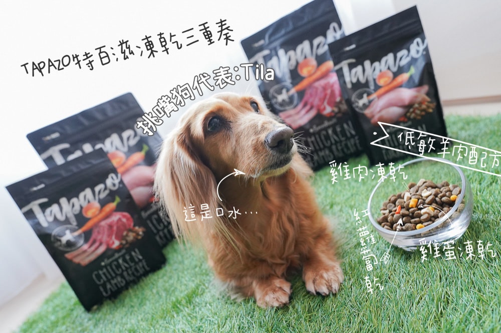 20251024-68ppy 20251024-68ppy