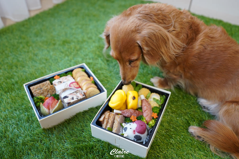 20251024-8441m 20251024-8441m