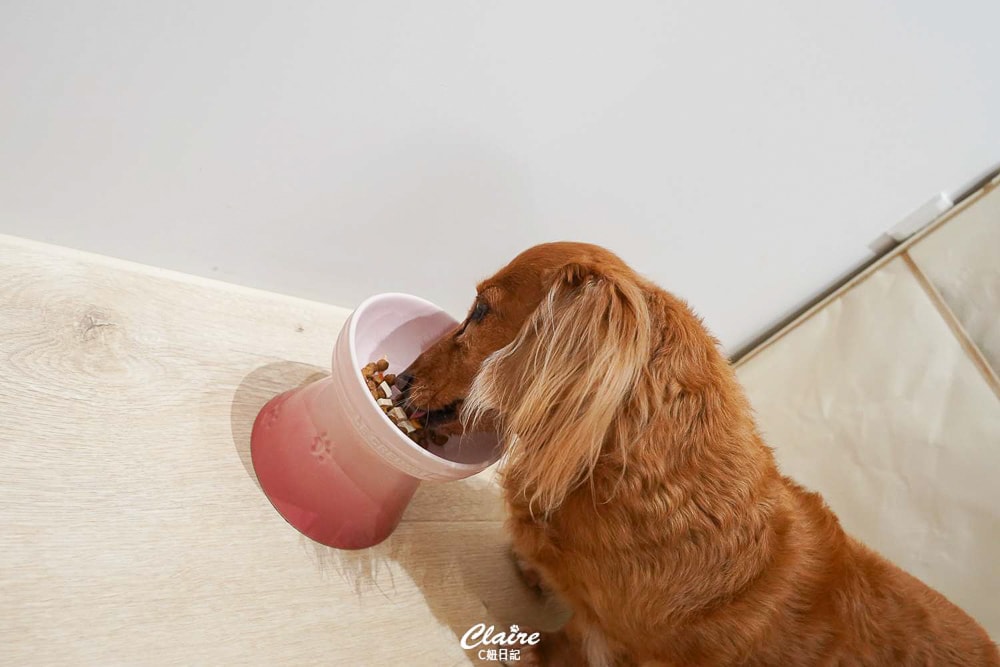 20251024-8890l 20251024-8890l