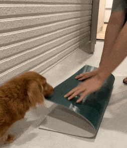 20251024-8pwmw 20251024-8pwmw