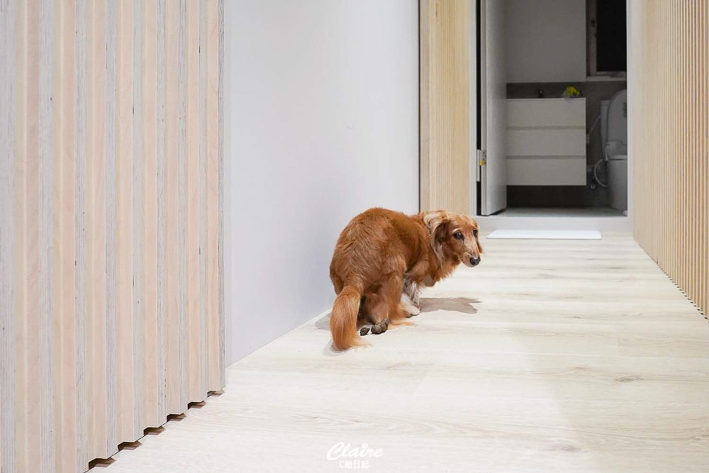 20251024-c9fhj 20251024-c9fhj