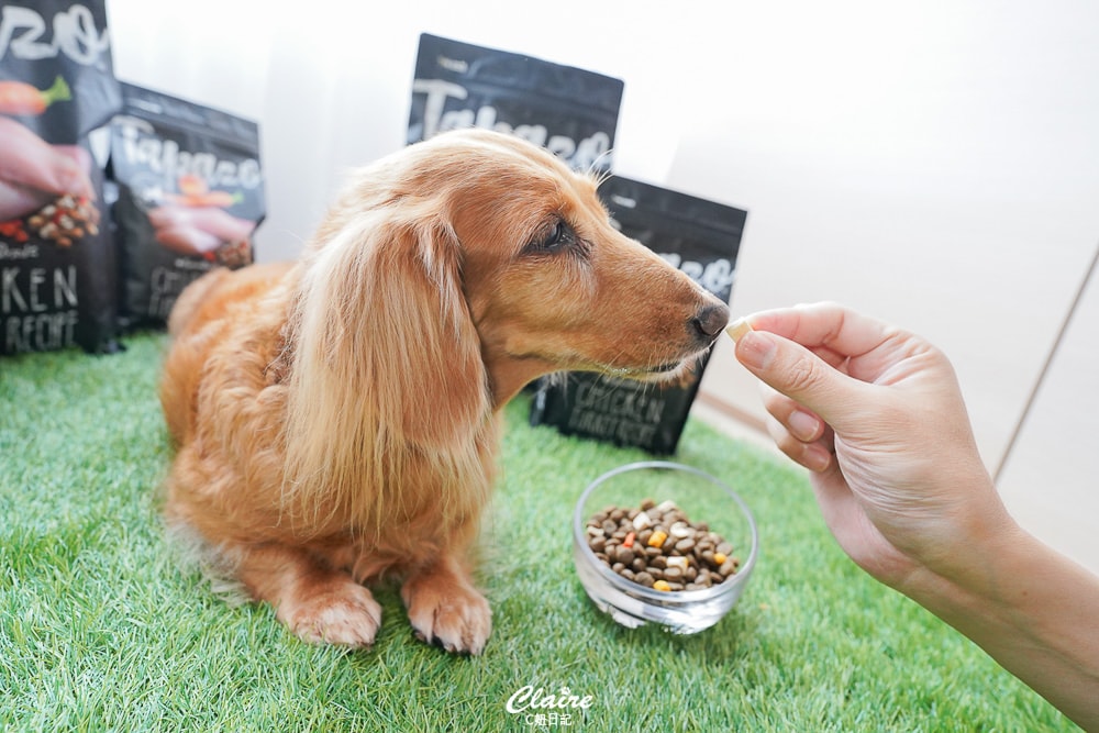 20251024-hcso1 20251024-hcso1