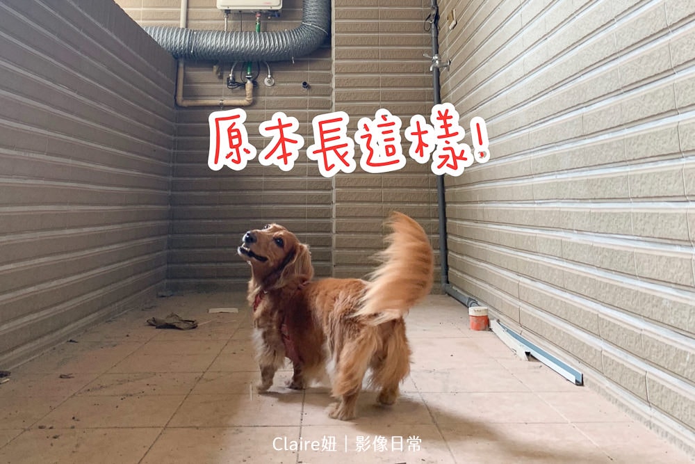 20251024-mnchi 20251024-mnchi